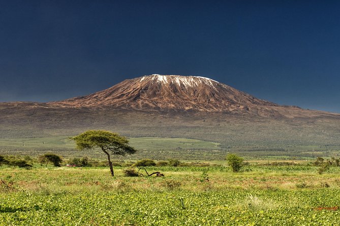 1 Day Kilimanjaro Cycle Shira Route - Good To Know
