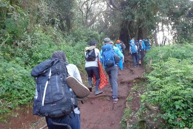 1 Day Kilimanjaro Trek via Marangu Route - Good To Know