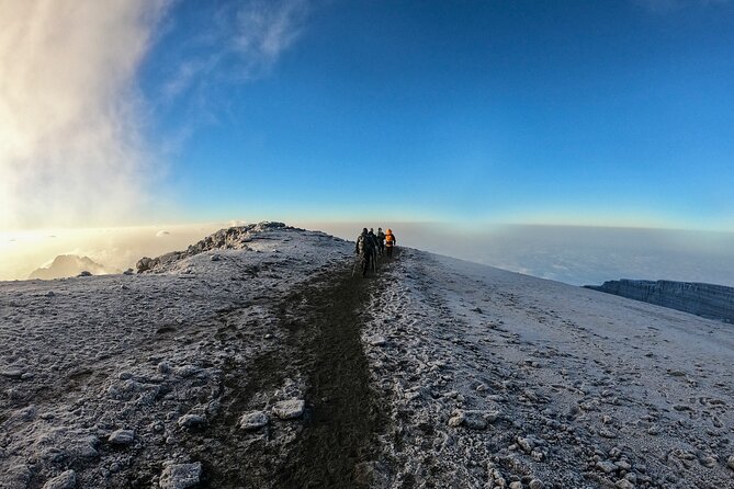 1 - Day Mount Kilimanjaro Hiking/Climbing via Marangu Route From Moshi or Arusha - Booking Information