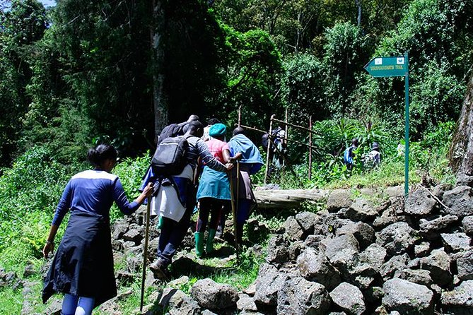 1 Day Mt Bisoke Hike Adventure in Volcanoes Park ( 2 Pax Min) - Good To Know