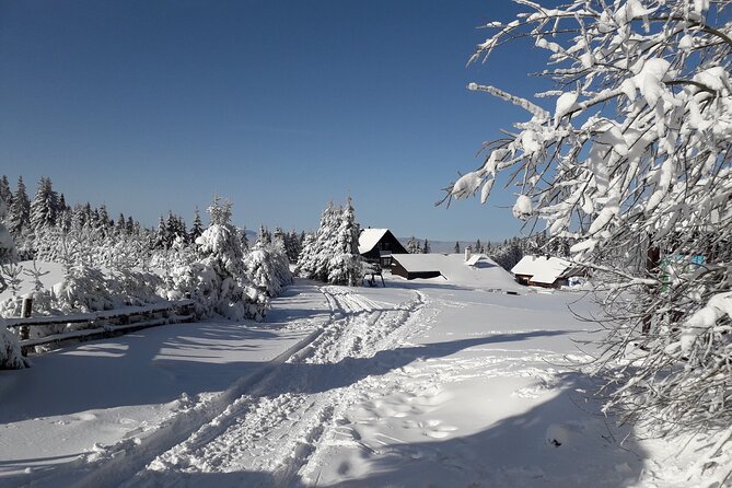 1-Day Private Snowshoe Hike in the Gorce Mountains Near Krakow - Location: Krakow, Poland