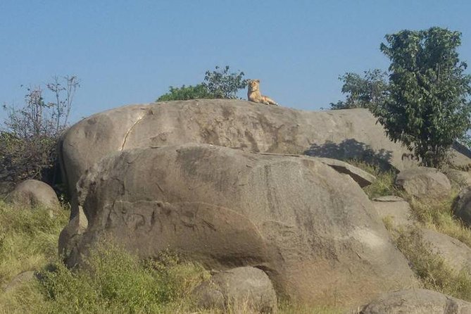 1/Day Trip Tarangire National Park