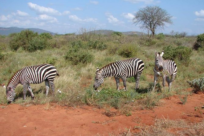 1-Day Tsavo East Safari From Mombasa - Good To Know