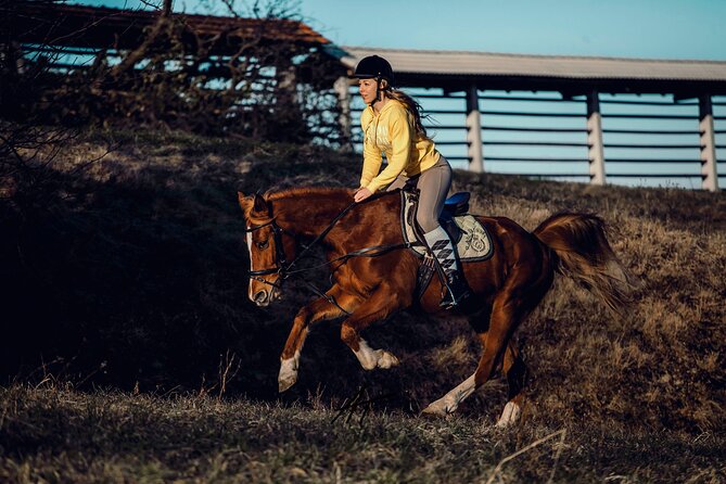 1-Hour Small-Group Horseback Riding Guided Activity From Ljubljana - Good To Know