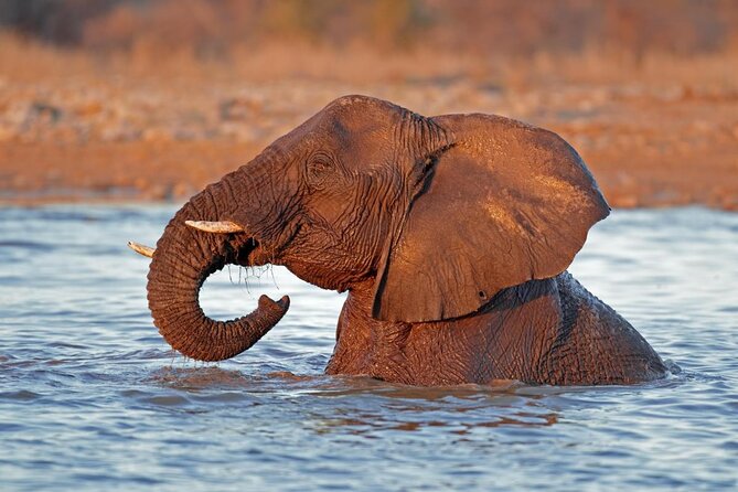 10-Day Private Yoga Adventure in Namibia - Good To Know