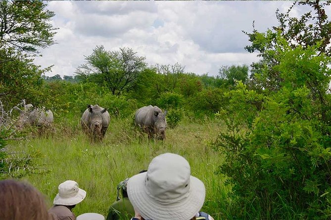 10 Day Zimbabwe and Chobe NP Tour - Good To Know
