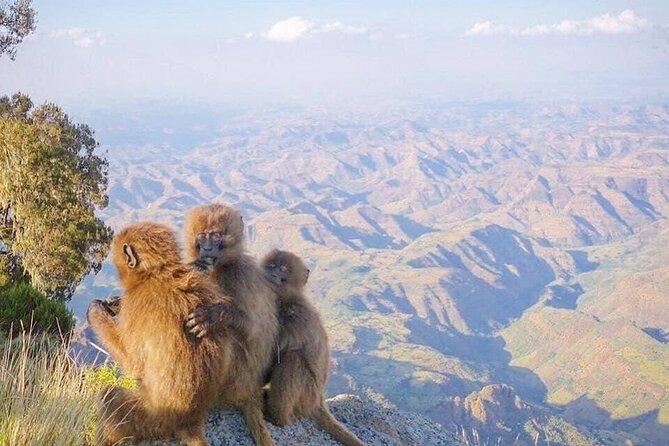 10 Days Simien Mountains Trekking, Adi Arkay via Ras Dashen - Good To Know