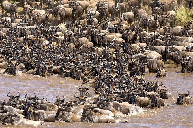 10 Days Tanzania Luxury Safari