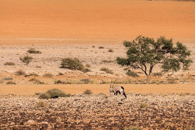 15 Days/ 14 Nights All About Namibia - Self-drive - Good To Know