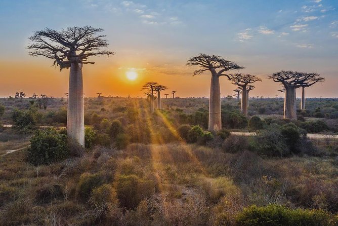 15 Days Exploring South and West of Madagascar - Good To Know