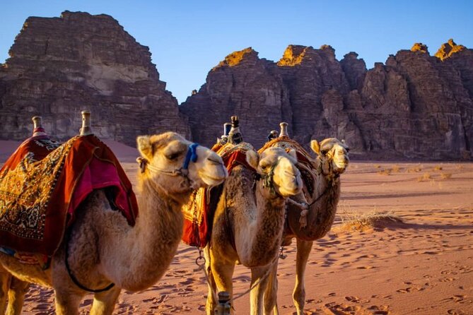 07 Days and 06 Nights Jordan Jewels - Tour Overview