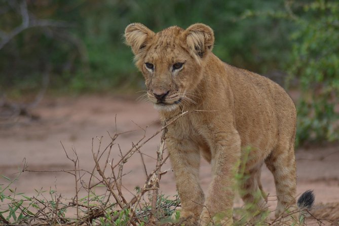 08 Days Classic Uganda Primate Tour - Inclusions and Exclusions