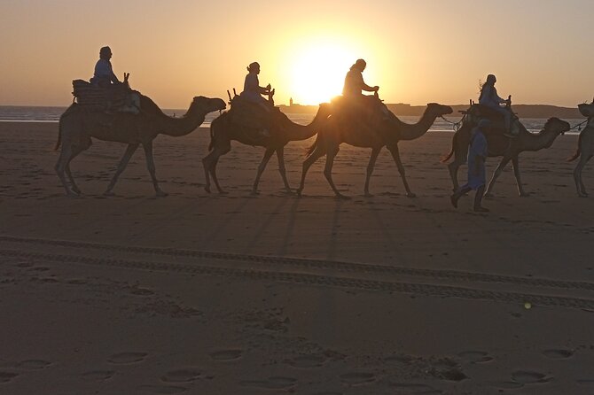 1/2 Day Camel Trekking in Essaouira With Meals - Activity Overview