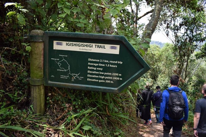 1 Day Canopy Walk Adventure in Nyungwe Forest Park (2 Pax Min) - Tour Highlights