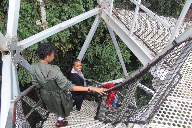 1 Day Canopy Walk Way in Nyungwe Natioinal Park - Logistics
