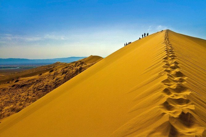 1 Day Express Tour: Altyn Emel National Park
