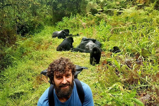 1 Day Gorilla Trekking Uganda
