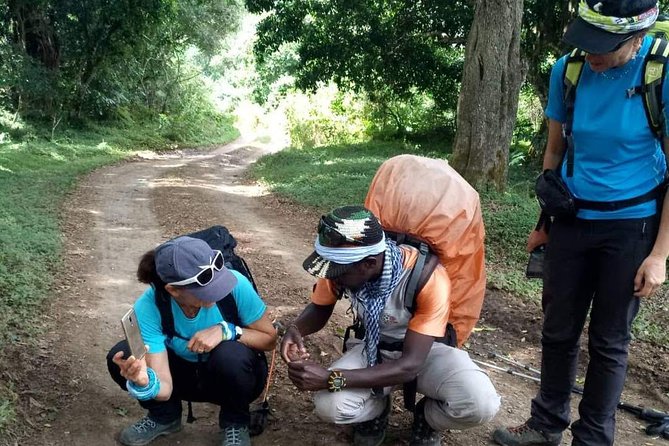 1 Day Marangu Route