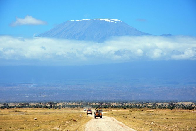 1 Day Mount Kilimanjaro Hike Trip - Itinerary Details