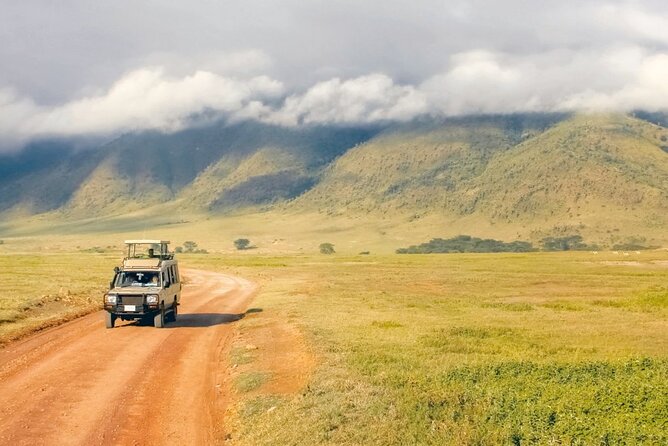1 Day Private Ngorongoro Crater Safari - Highlights