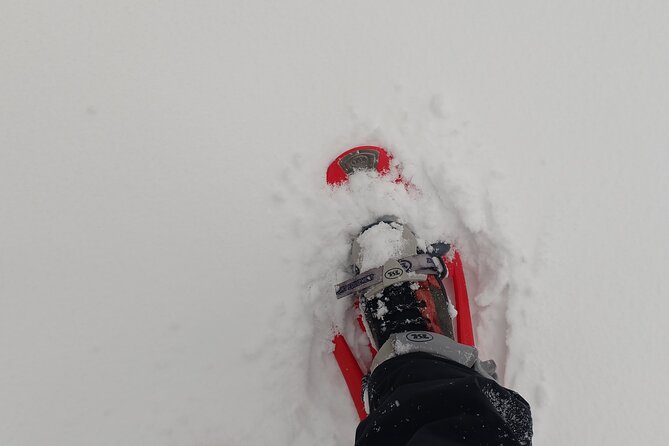 1-Day Private Snowshoe Hike in the Gorce Mountains Near Krakow - Entrance Fee Information