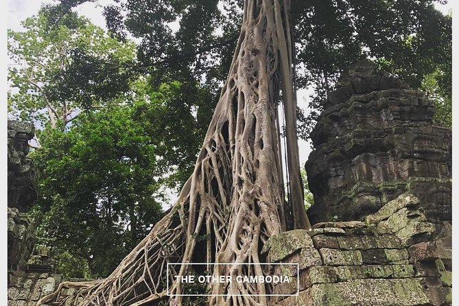 1-Day Private Tour With Spanish Guide: the Jemer Essence - Tour Highlights