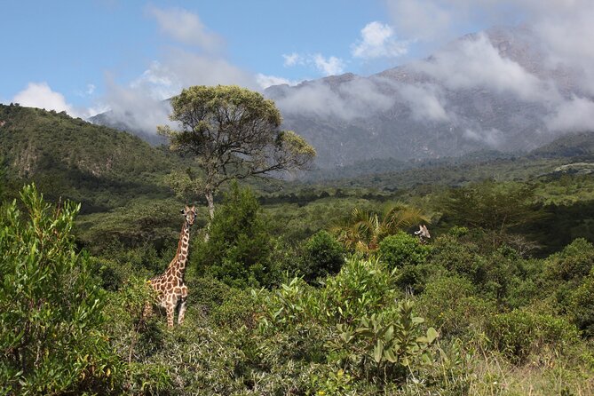 1 Day Short 4x4 Safari: ARUSHA NATIONAL PARK Incl. Lodge-Lunch - Safari Itinerary