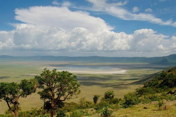 1 Day: Taste of Wildlife to Ngorongoro Crater