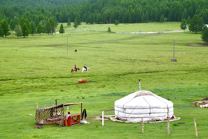 1 Day Tour: Khustai National Park