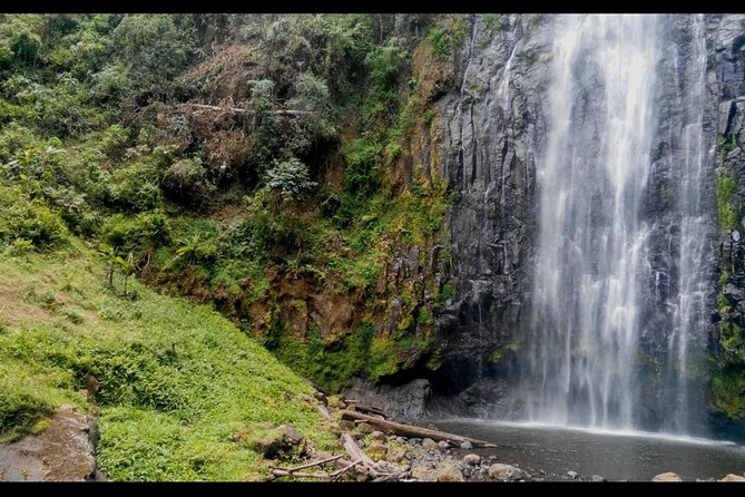 1 Day Tour to Materuni Waterfalls and Coffee Tour - Inclusions