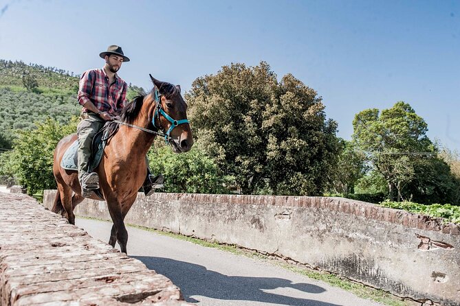 1 Hour Horseback Ride in Valgraziosa Pisa - What to Expect