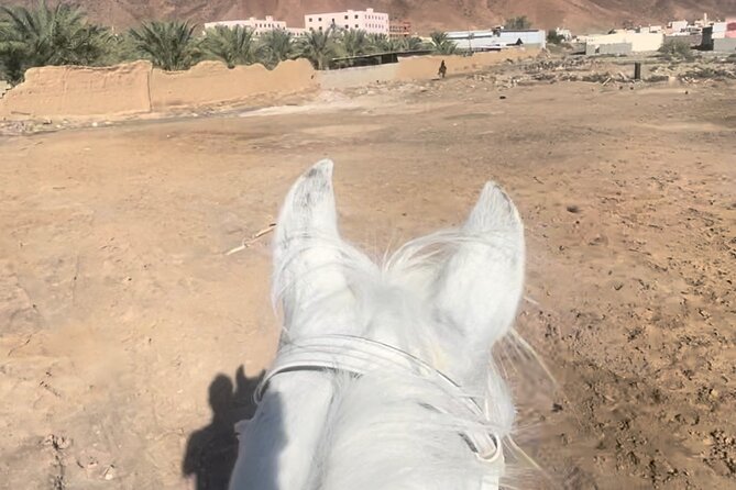 1 Hour Private Horse Riding in Madinah - Activity Details