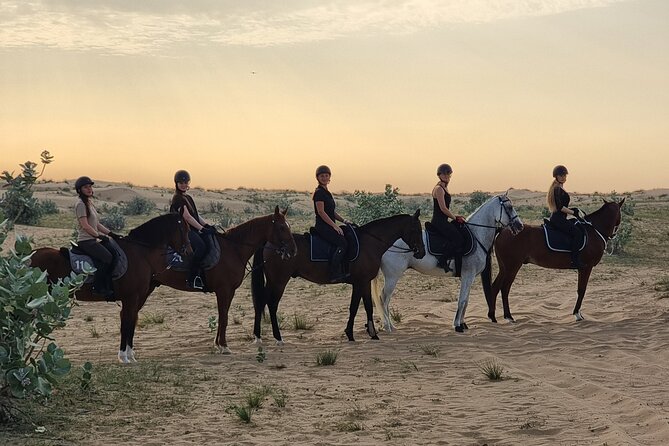 1 Hour Shared Desert Horse Riding Experience - Start/End Point Details