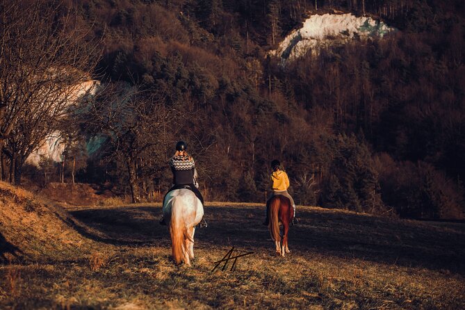 1-Hour Small-Group Horseback Riding Guided Activity From Ljubljana - Activity Details