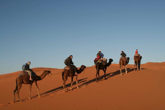 1 Night Bivouac Erg Chebbi Dunes From Todra Gorge - Aventures Verticales Maroc - Tour Overview