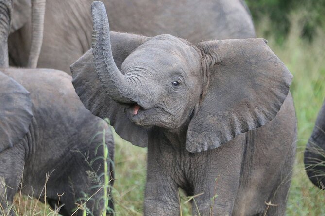 10-Day Expedition to Victoria Falls-Hwange & Chobe National Park