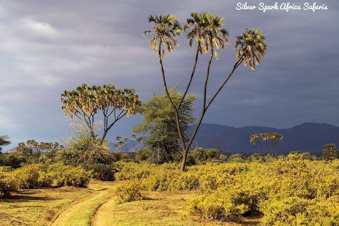 10-Day Samburu National Resreve, L Naivasha, Maasai Mara, Amboseli, L Nakuru - Itinerary Highlights