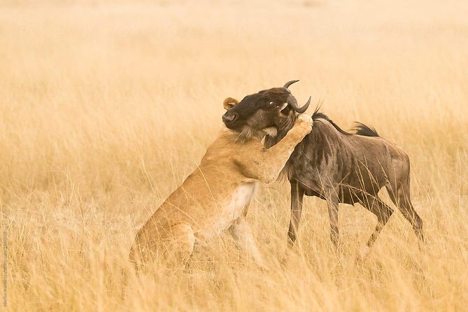 10 Day Signature Epic Wilderness - Itinerary Overview