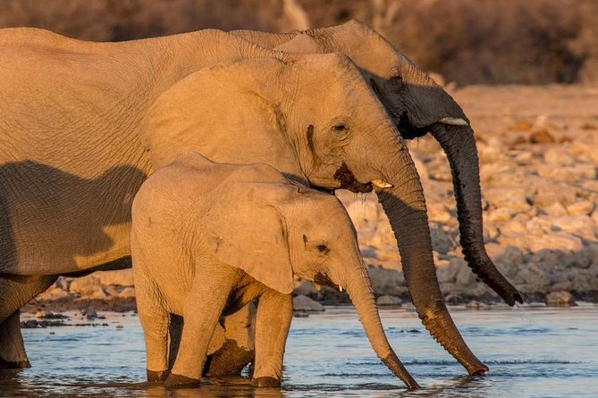 10 Days / 9 Nights Taste of Namibia – Self-drive