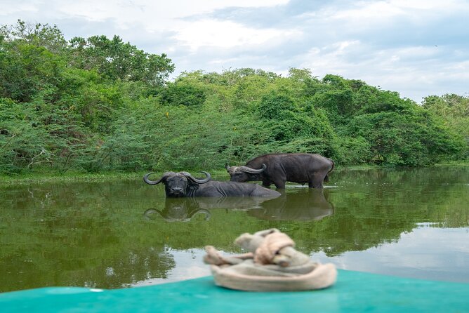 10 Days Affordable Gorilla Trekking Holiday