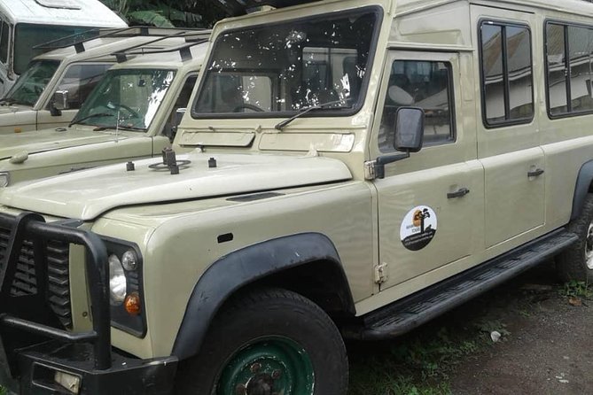 10 Days Mount Kilimanjaro Climbing and Safari Lake Manyara , Serengeti, Ngoro - Tour Itinerary