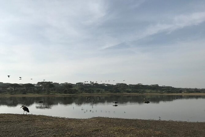 10 Days Safari Maasai Mara Serengeti Ngorongoro Tarangire Amboseli- Mid Range - Safari Itinerary Overview