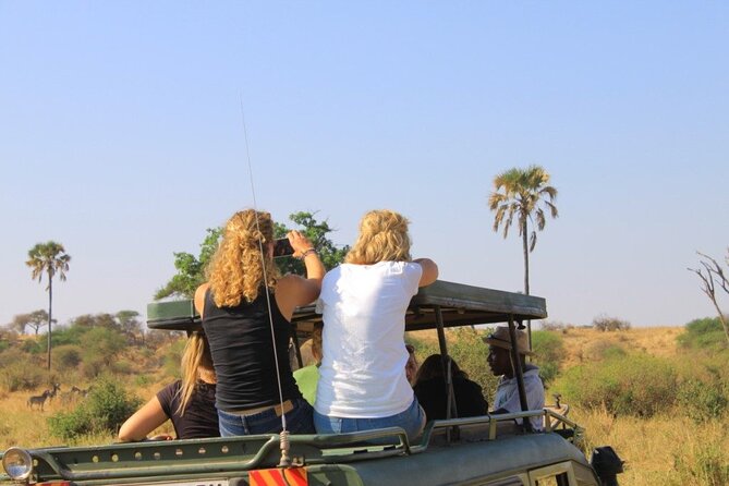 11-Day Private Classic Safari in Southern Tanzania - Accommodation Highlights