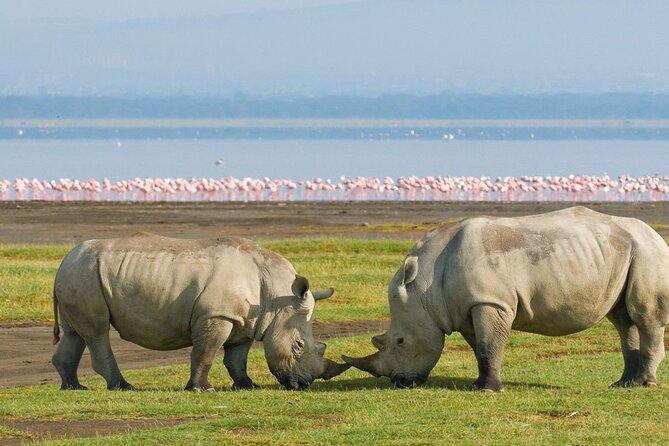 11 Days Kenya Big Five Bush & Beach Safari - Itinerary Overview