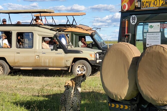 11 Days Private Tour to Explore Amboseli and Samburu - Tour Details