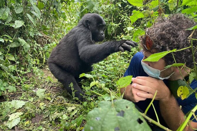12-Day Moderately Priced Pearl of Africa – Uganda Private Safari