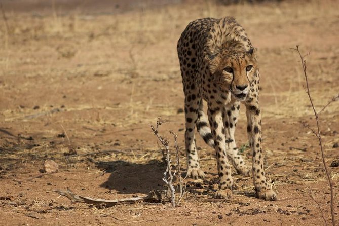 12 Days Guided Private Tour Namibia In Plus - Itinerary Overview