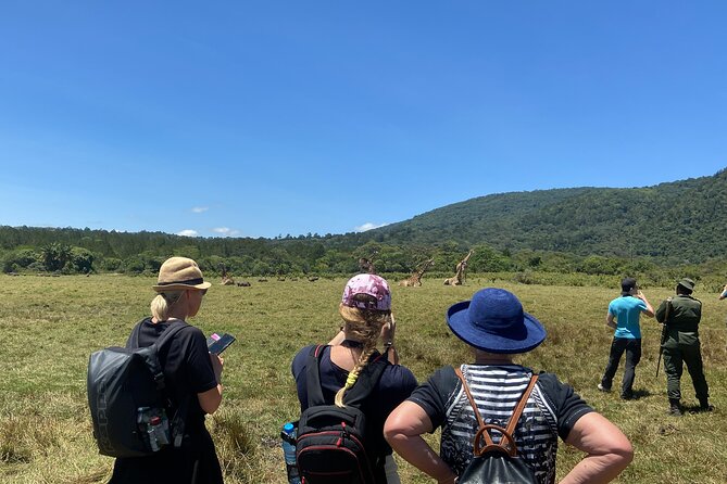 12 Days Safaris Tour in Arusha - Safari Itinerary