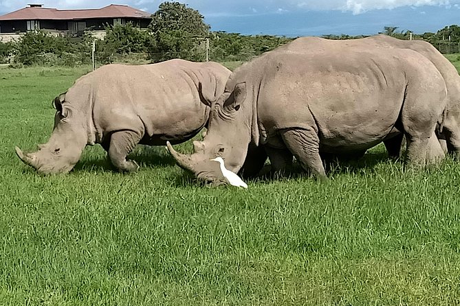 13 Days Photographers Safari - Tour Overview