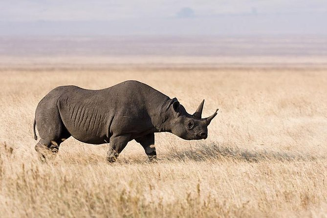 13 Days Ultimate Luxury Safari Tour Tanzania